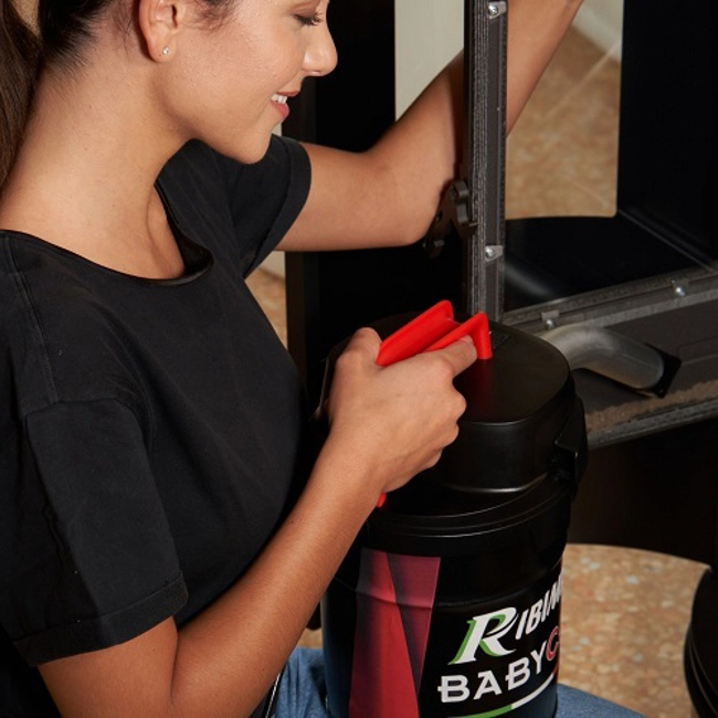 Vendita online Aspiracenere elettrico Babycen